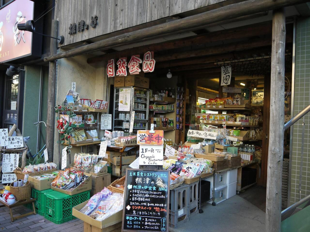 根津の谷