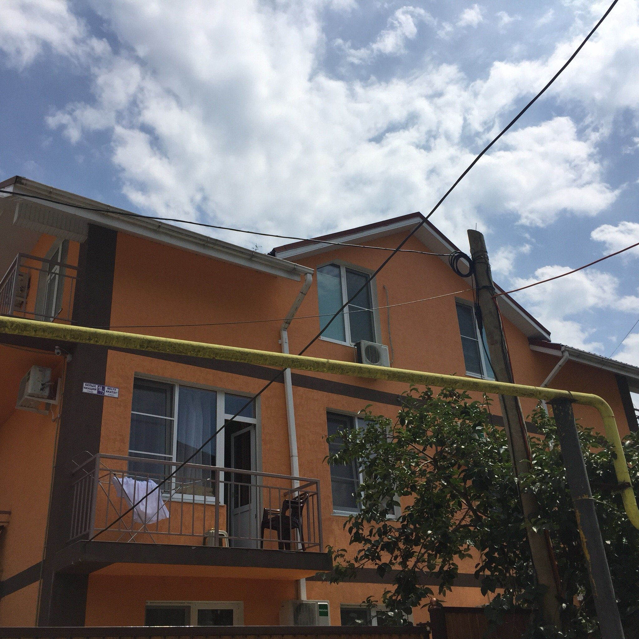 Happy Elephant-官方