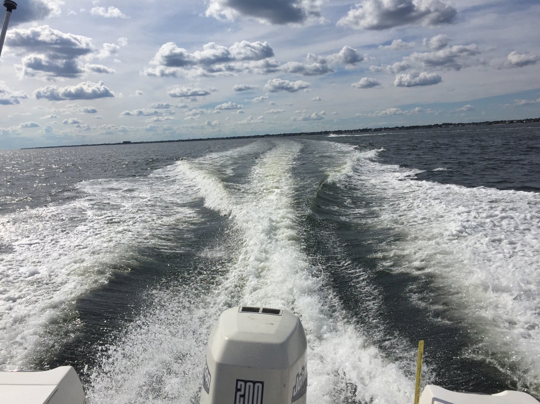 Kismet旅游攻略图片