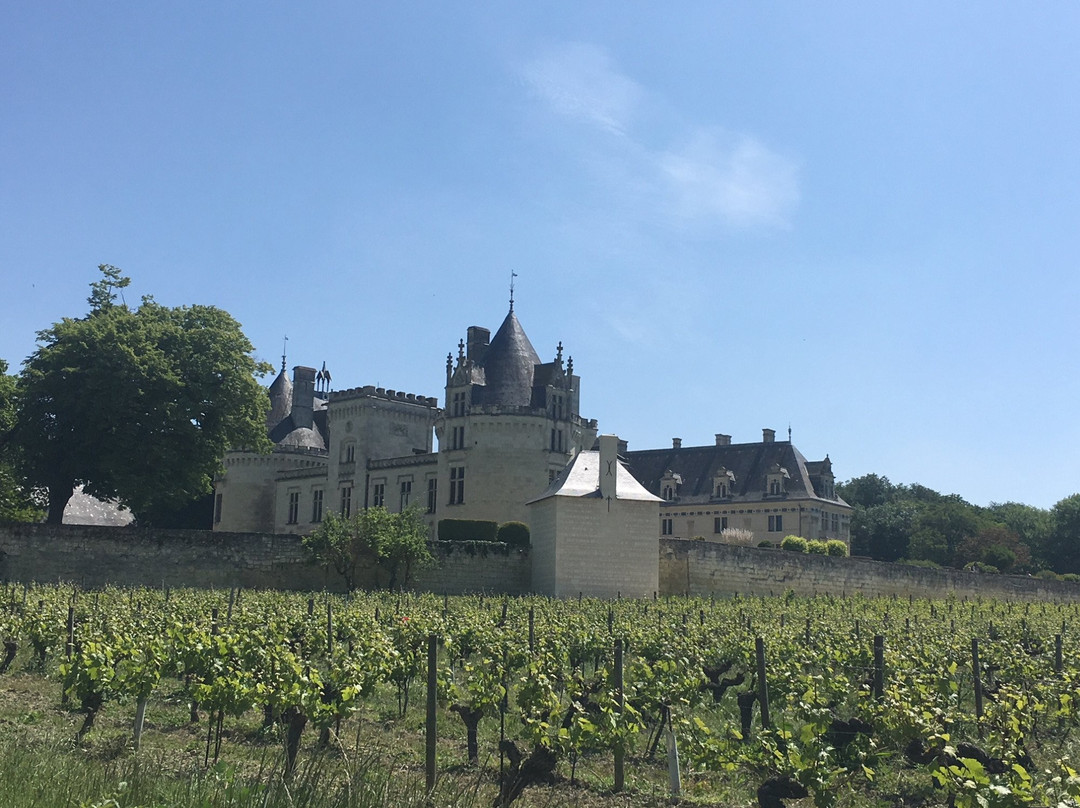 Chateau de Brézé景点图片