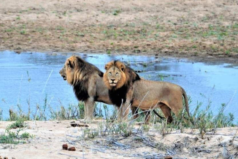 Kihindo  Tours and Safaris Limited