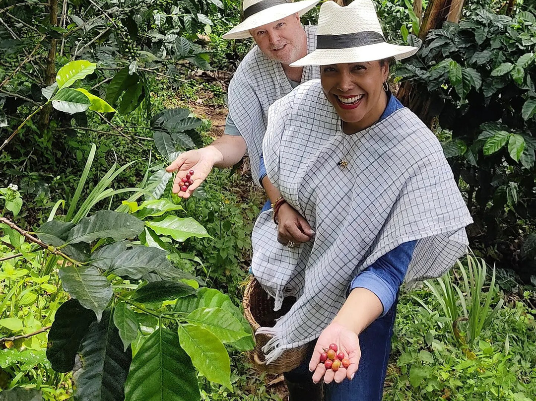 Ituango餐馆和美食-Finca El Porvenir