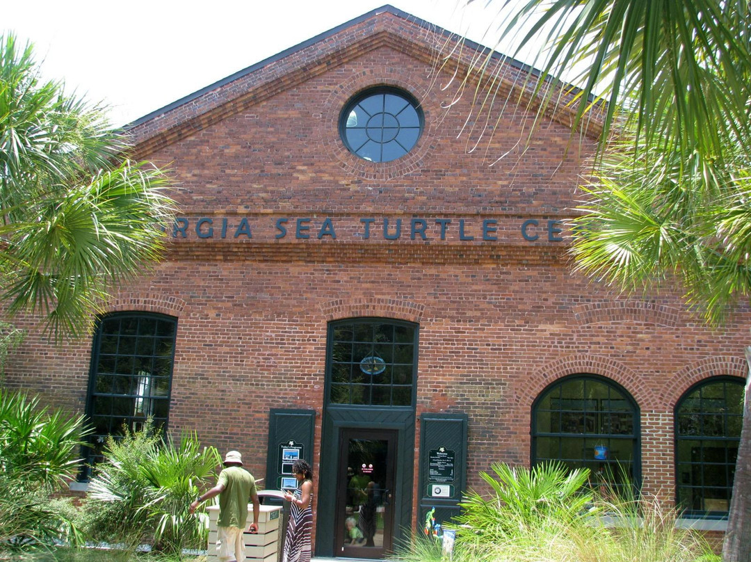 Georgia Sea Turtle Center景点图片