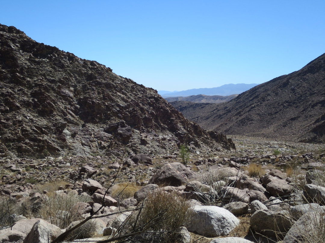 Borrego Palm Canyon Nature Trail