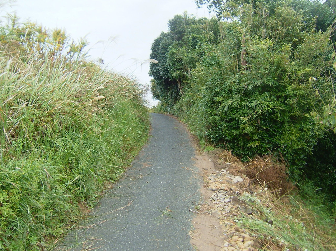 The lane of Katumi景点图片
