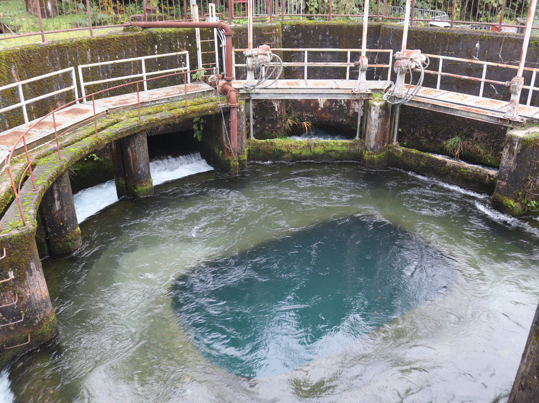 Kaidashin Cylindrical Water Tank