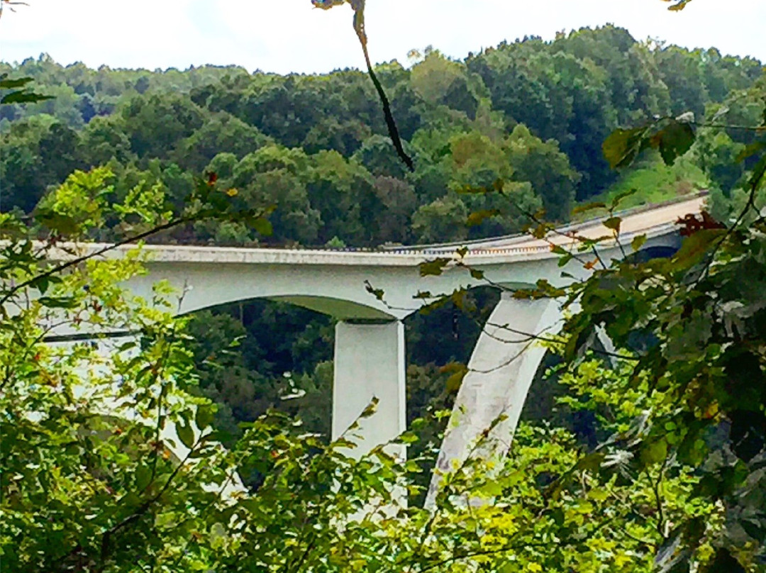 Natchez Trace Parkway Bridge景点图片