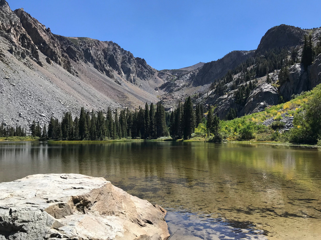 Fern Lake Trail景点图片