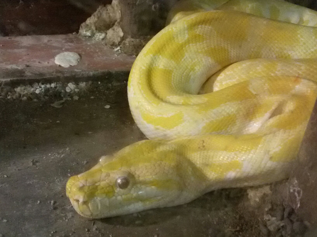 Zoo Aquaterrarium-Slavgorod必去景点