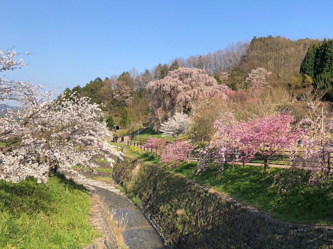宇陀市旅游攻略图片
