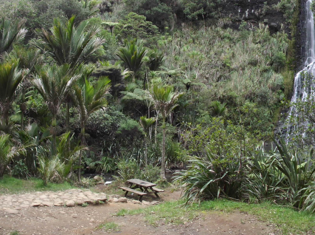 Bike and Hike Limited-奥克兰中心地区必去景点