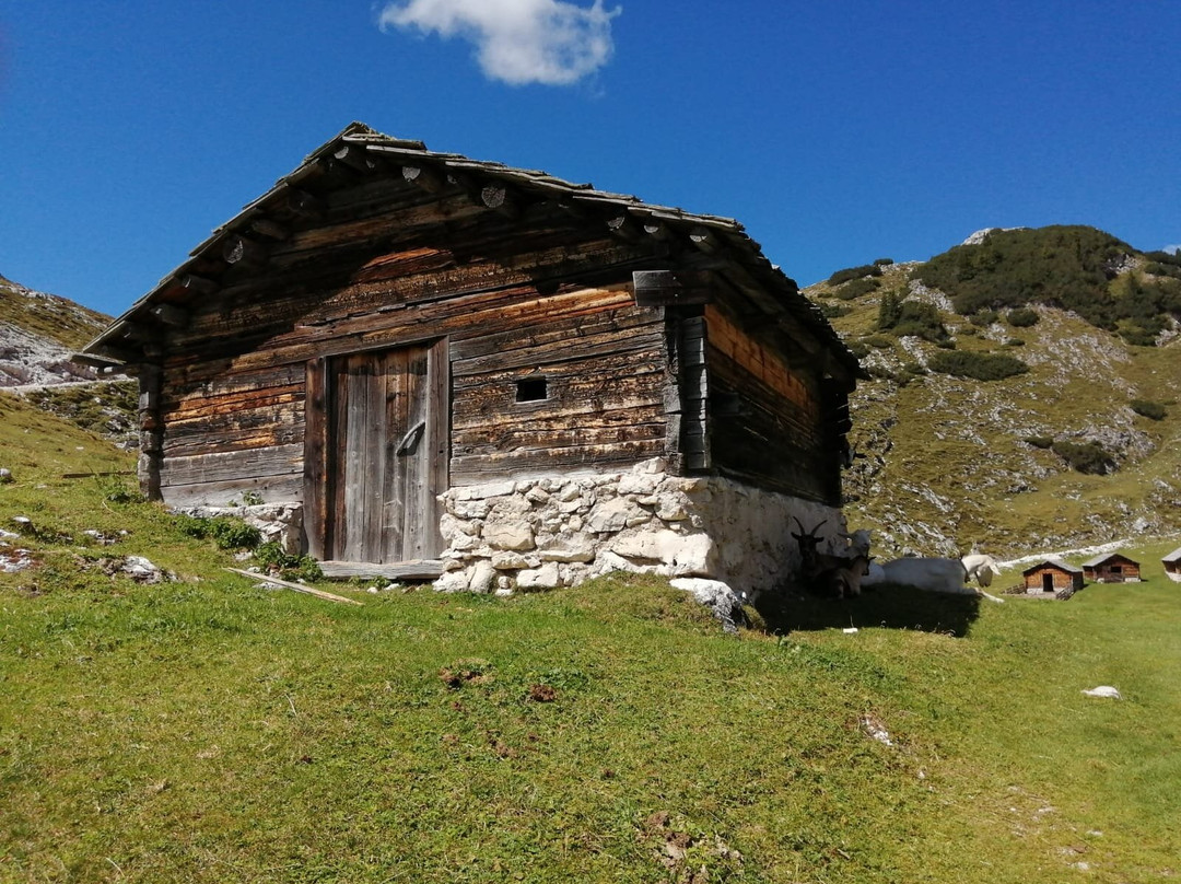 Malga Fojedöra (Hochalpenhutte)