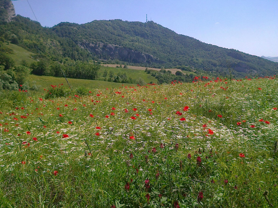 Valle del Marecchia景点图片