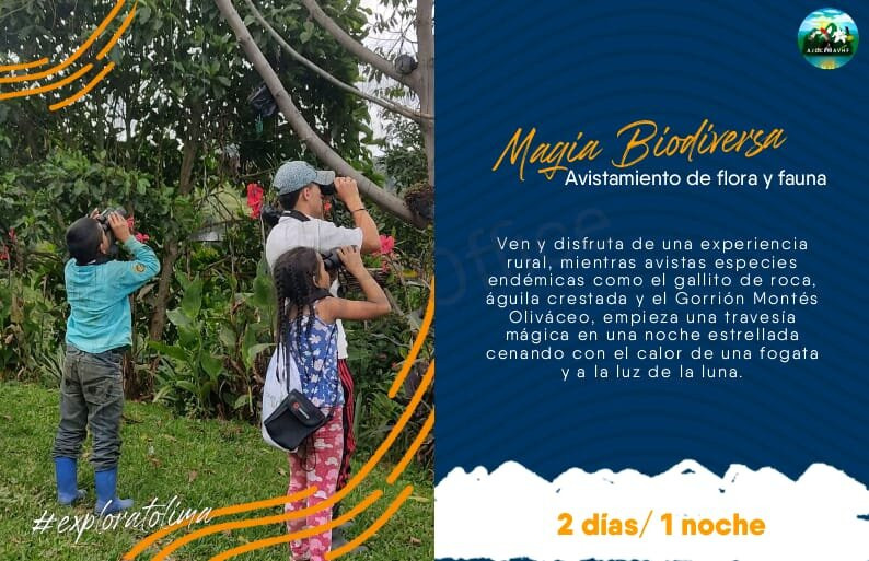 Asociación De Jóvenes