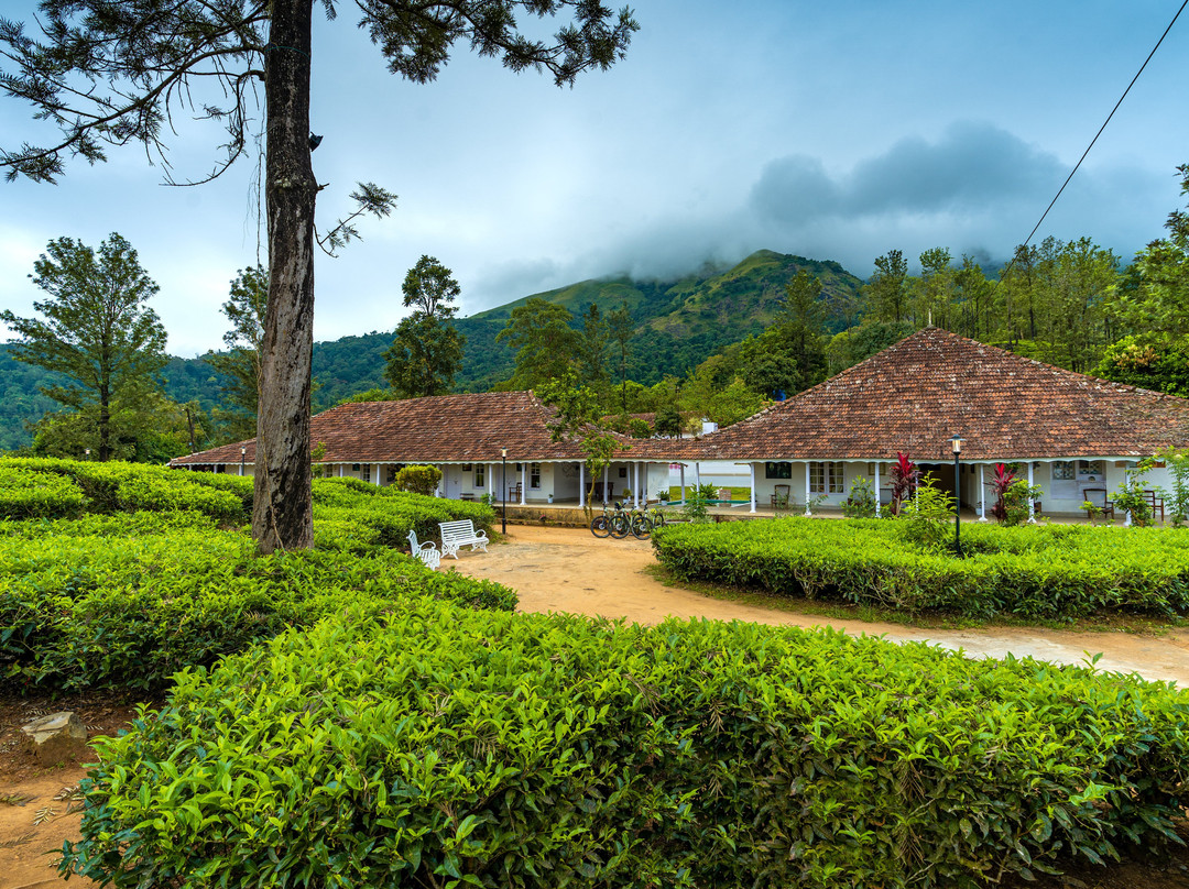 Zostel Wayanad