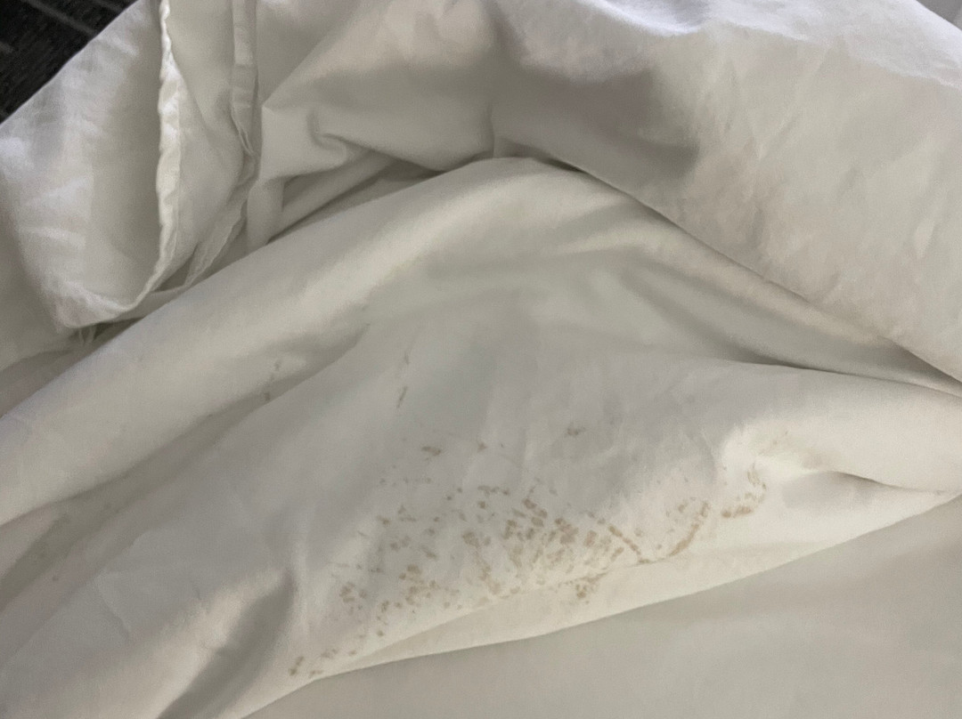 Country Inn & Suites by Radisson, Sevierville-Kodak, TN主图