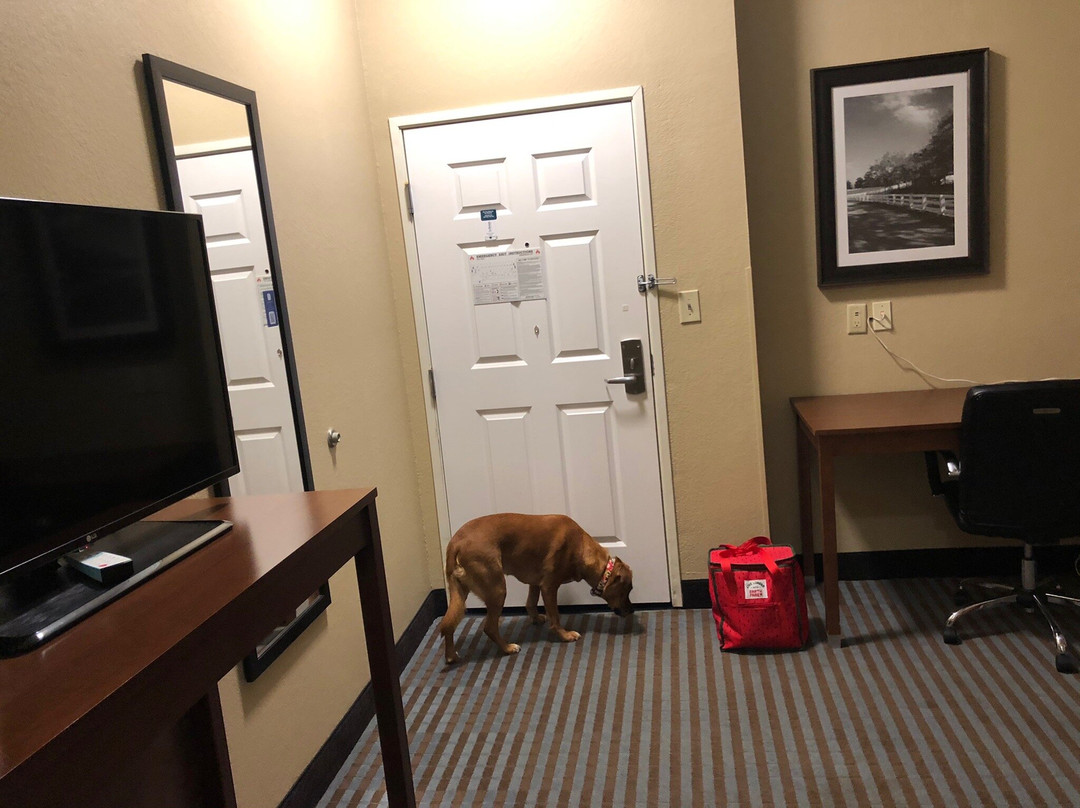 La Quinta Inn & Suites by Wyndham Elizabethtown主图