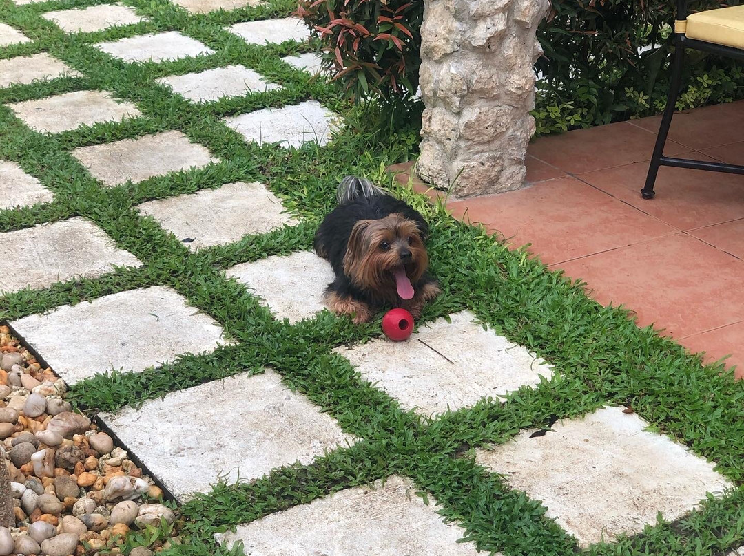 La Casa Di Beatrice主图