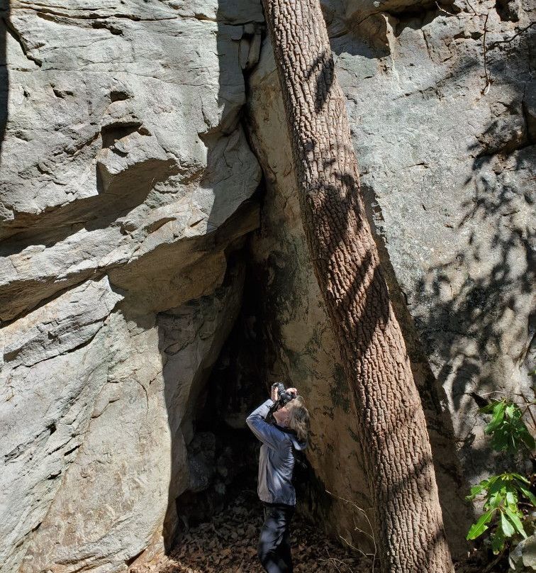 Lula Lake & Land Trust-Lookout Mountain必去景点