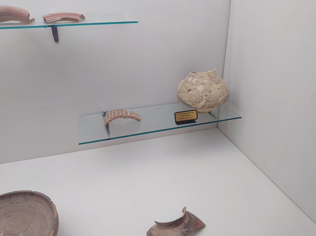 Archaeological Museum Mohenjo Daro-Larkana必去景点