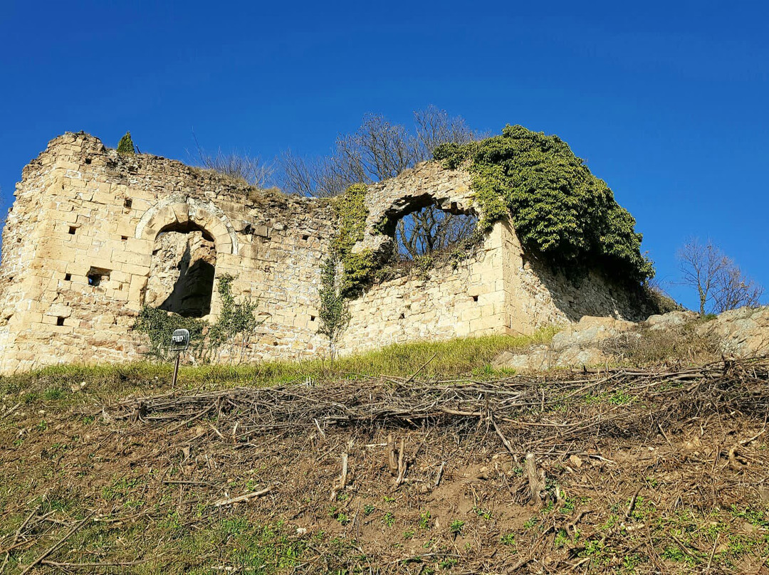 Castello di San Lorenzo景点图片