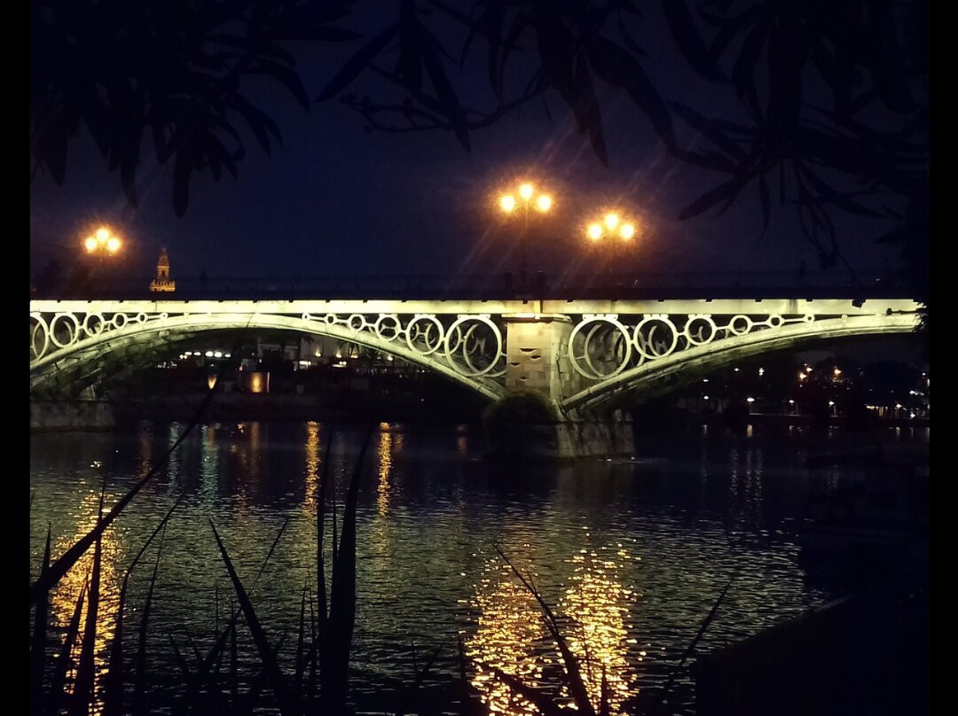 Seville Private Guide - Sofia Ventura-塞维利亚必去景点