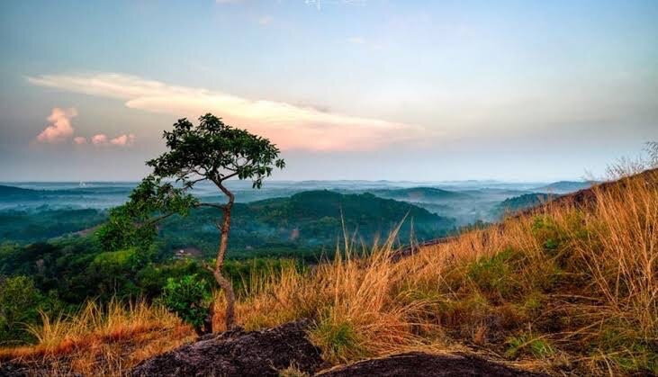 Vellanikkalpara Viewpoint-Keezhthonnakkal必去景点