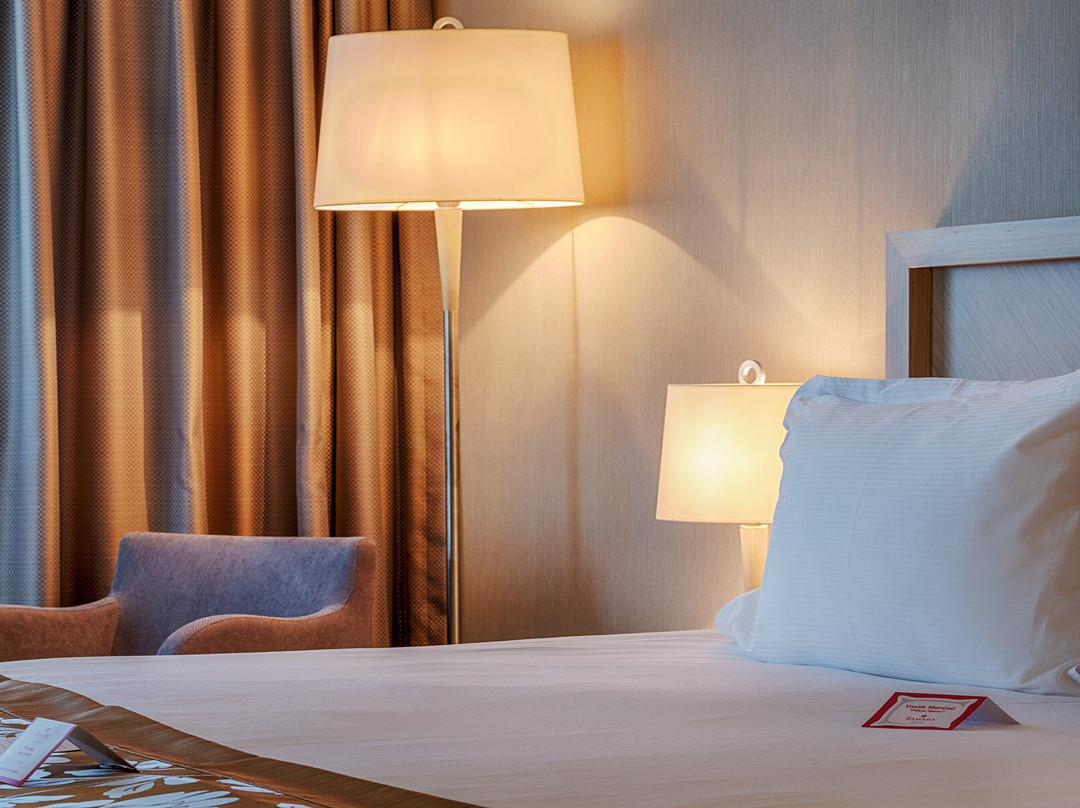 Ramada Plaza by Wyndham Kahramanmaras主图