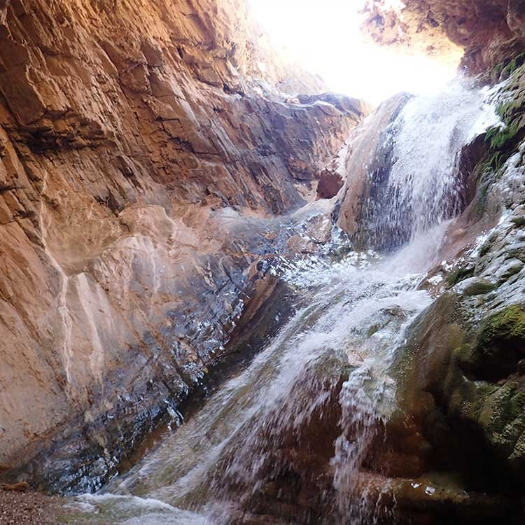 Rivers & Oceans Adventure Travel Experts景点图片