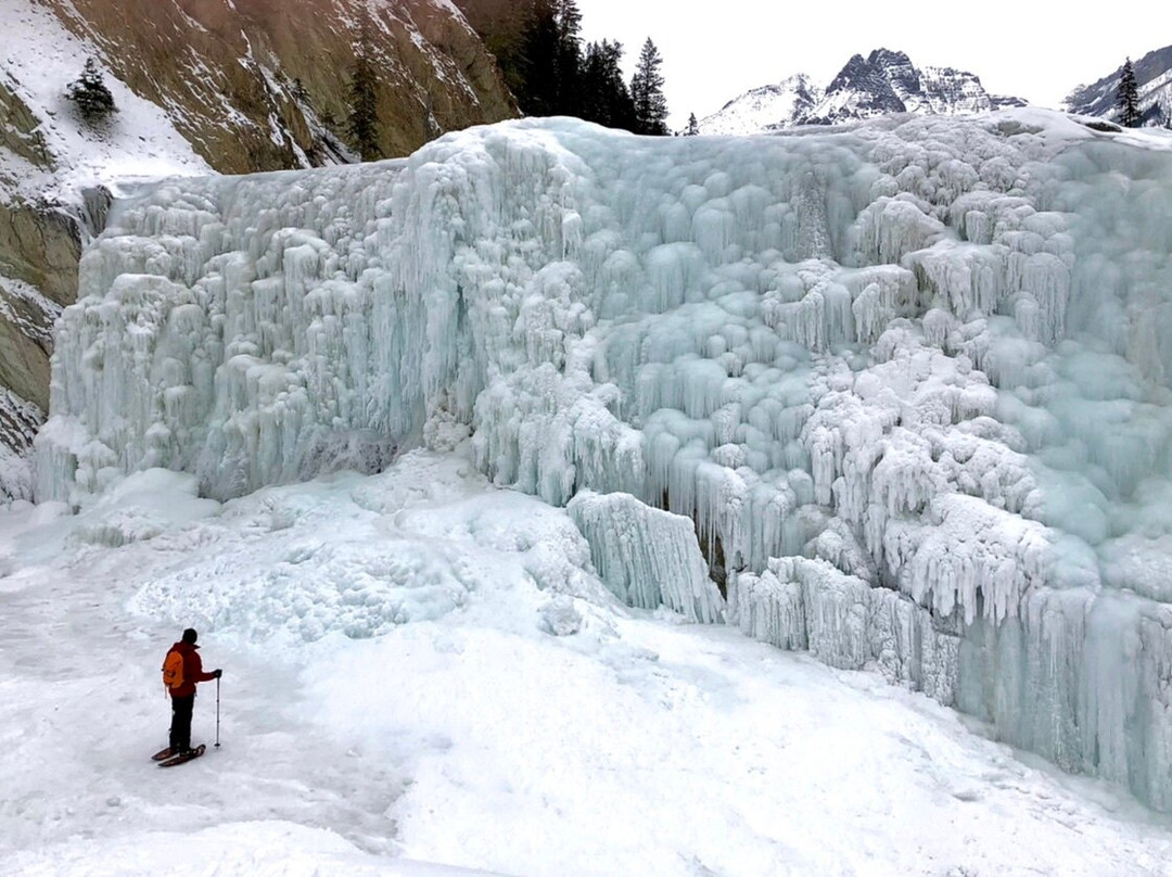 Wapta Falls-幽鹤国家公园必去景点