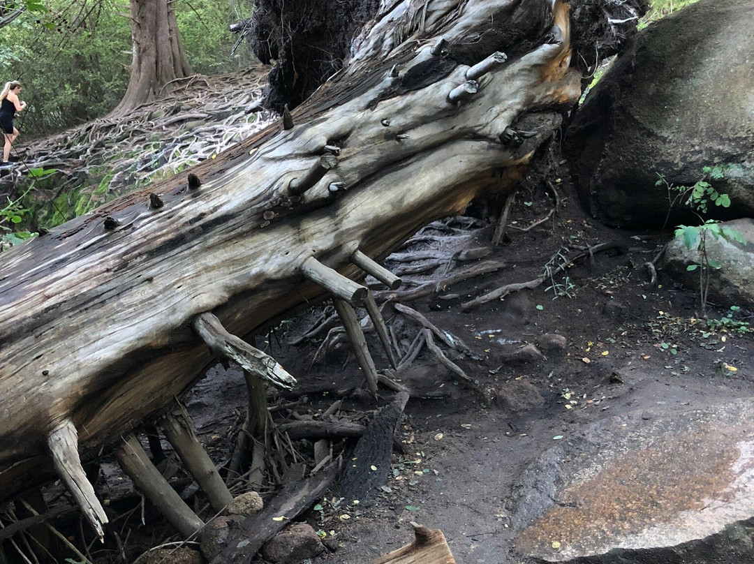 Cascada Grande景点图片