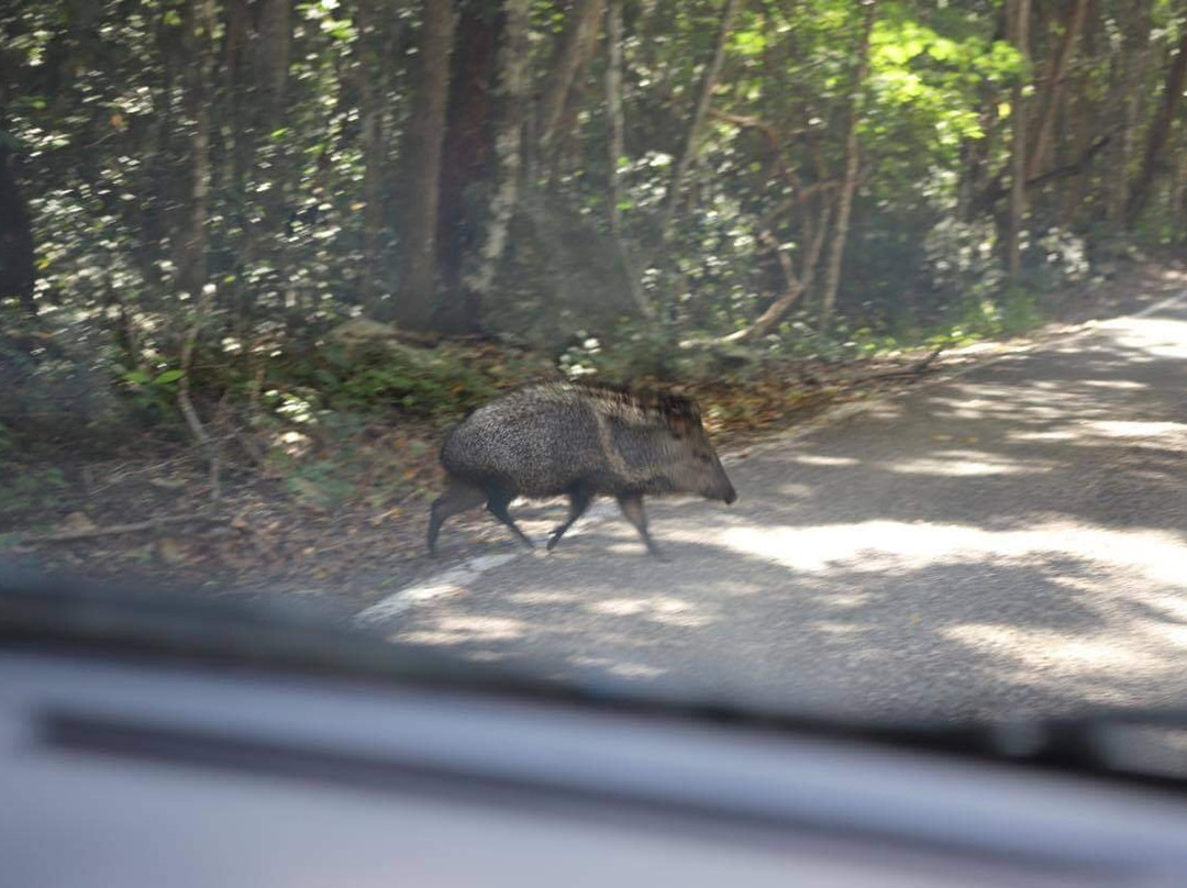 Tours in Calakmul Abel-Xpujil Town必去景点