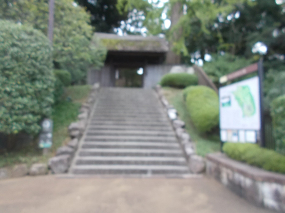 Tojogaoka Historical Park-松户市必去景点