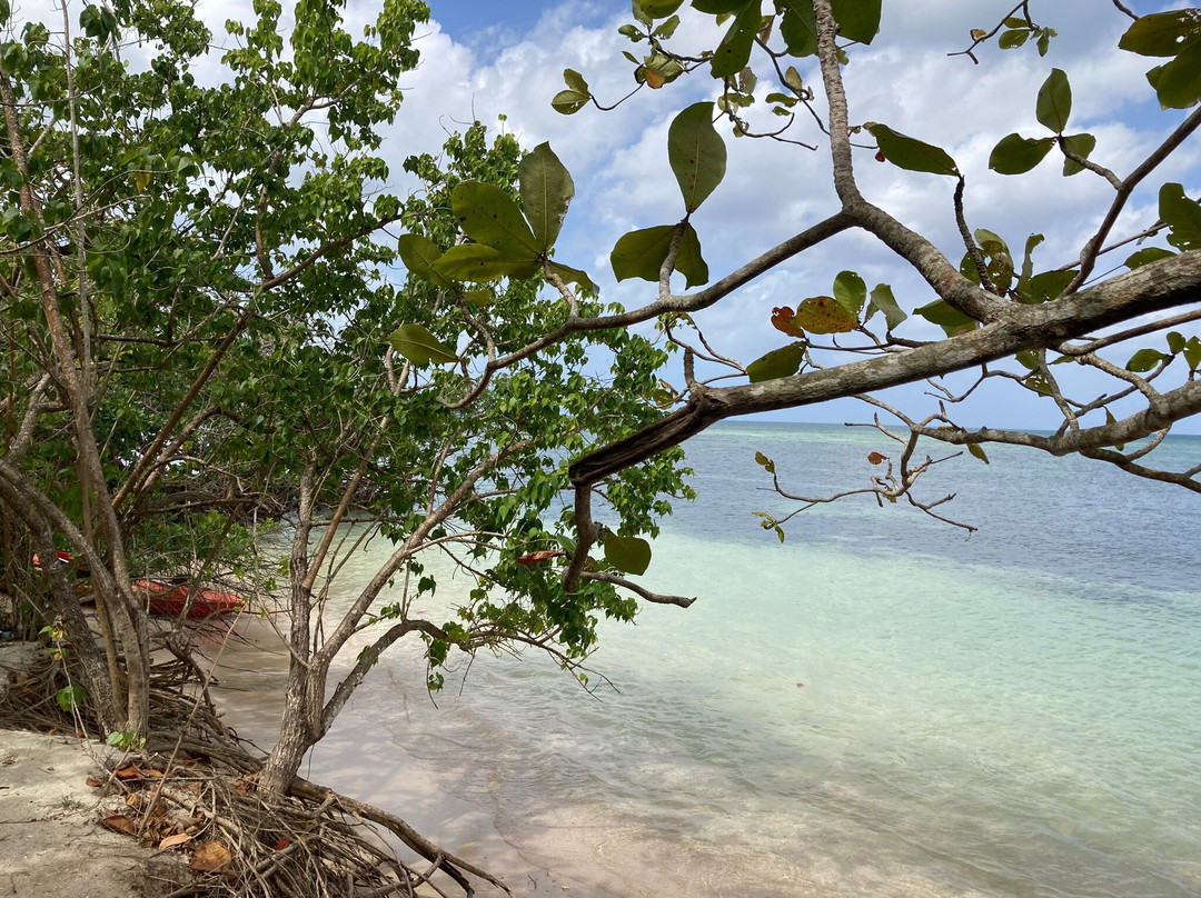 TI-Yot-Morne-A-l'Eau必去景点