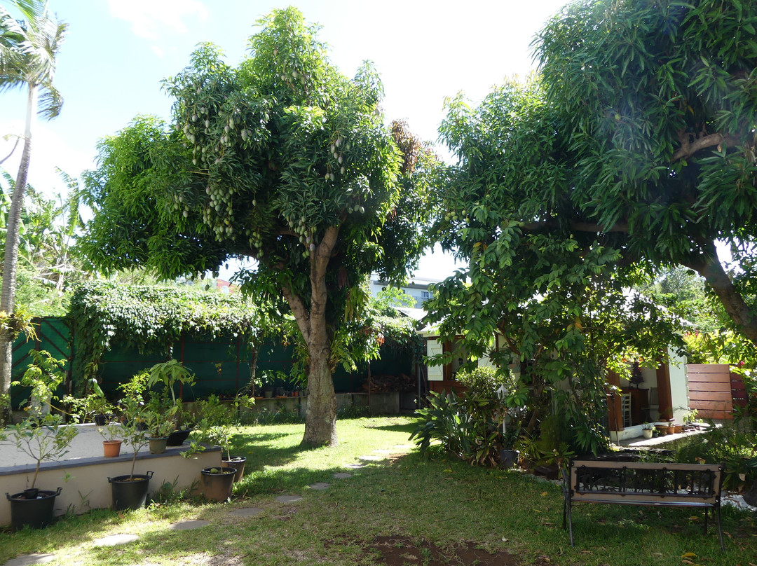 La Case O Zoizos主图