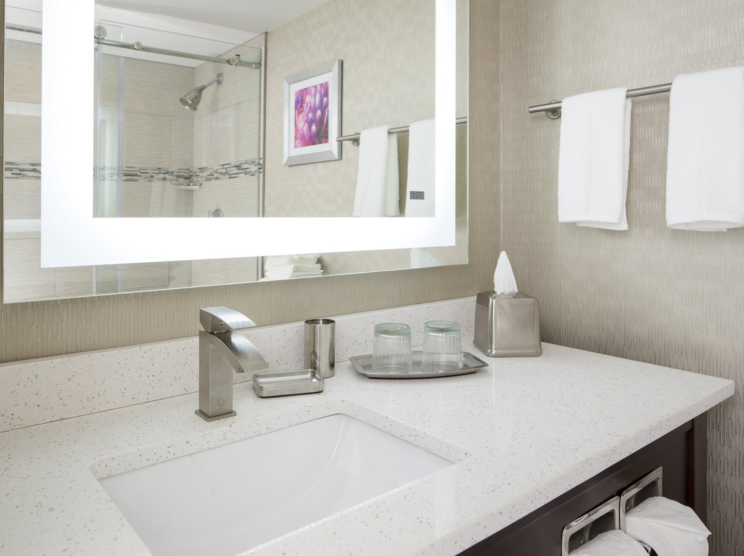 Crowne Plaza Chicago Sw - Burr Ridge By IHG主图