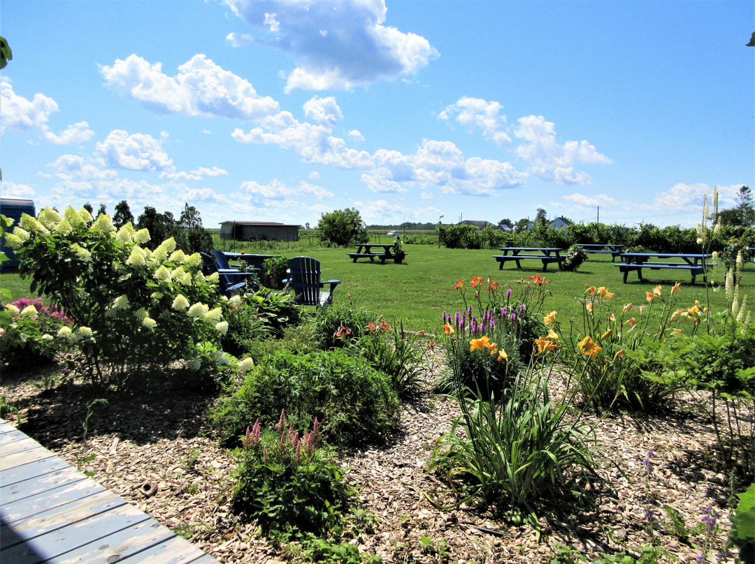 Vignoble la Charloise-Lotbiniere必去景点