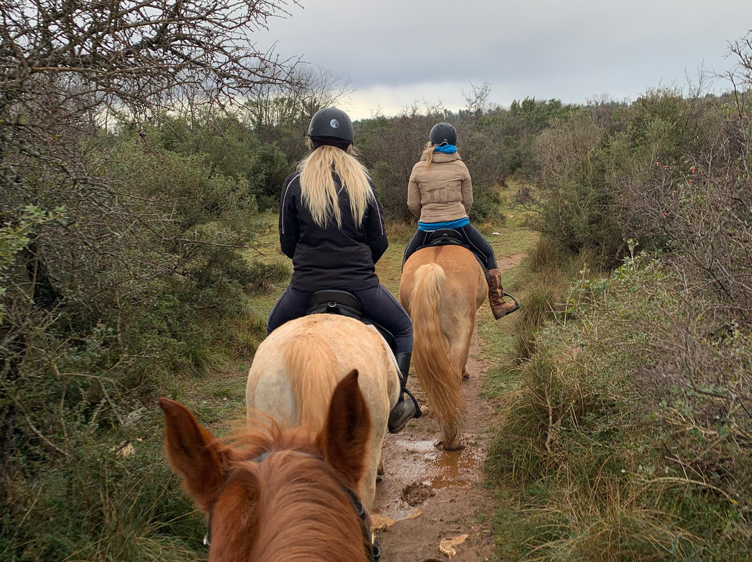 Saddle Club Zadar Horseback Riding Centre-扎达尔必去景点