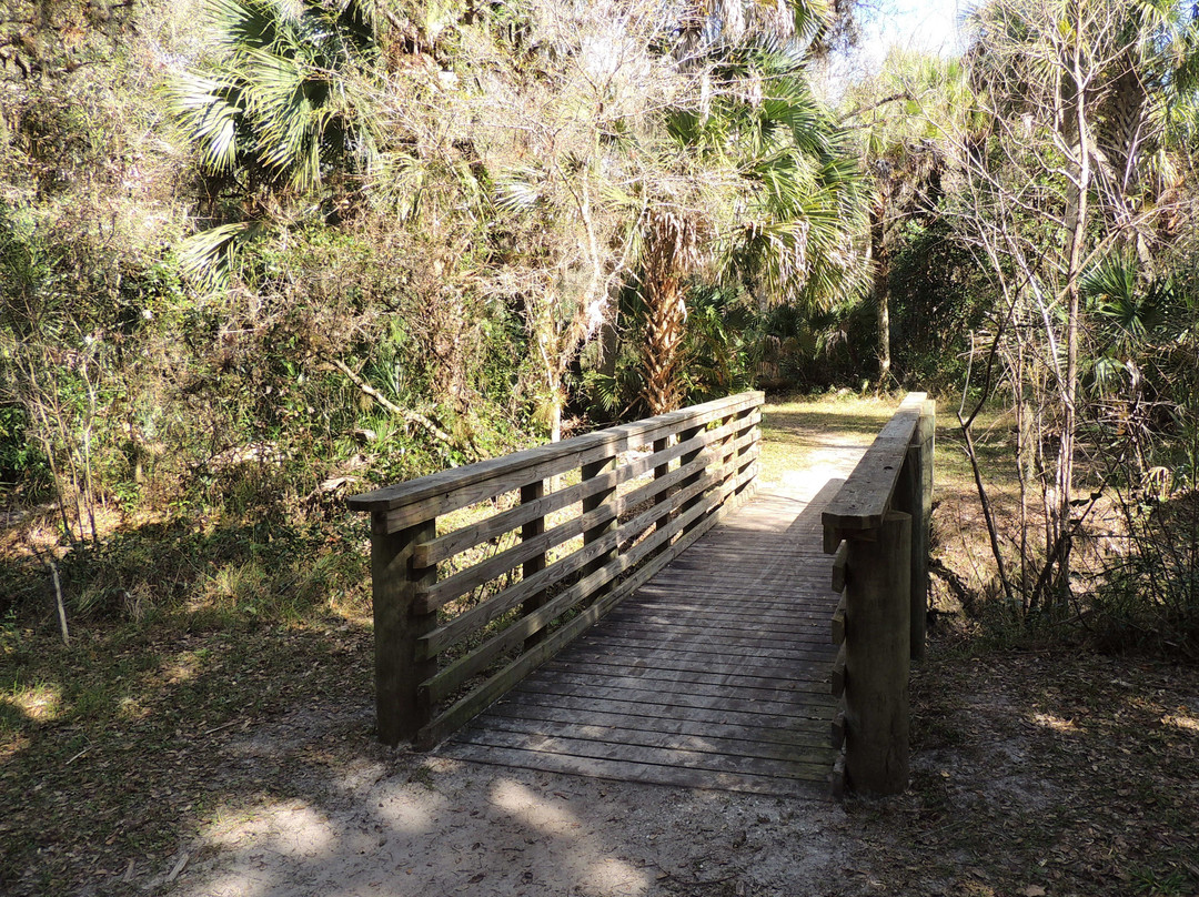 Myakkahatchee Creek Environmental Park景点图片