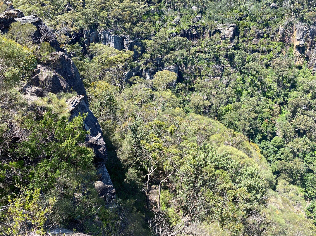 Budderoo National Park景点图片