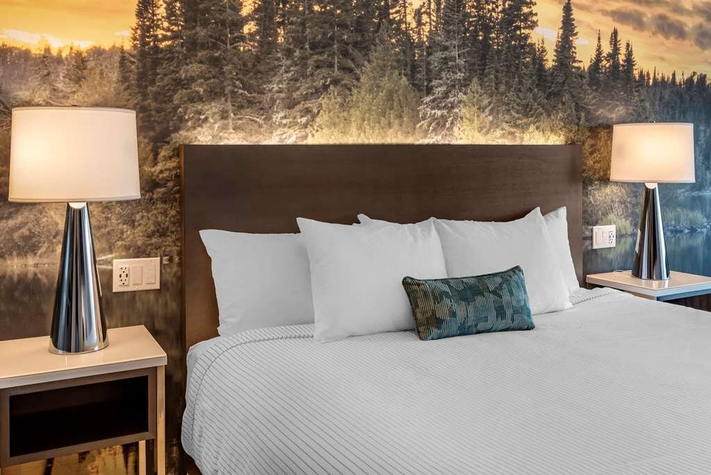 Cambria Hotel Detroit-Shelby Township主图