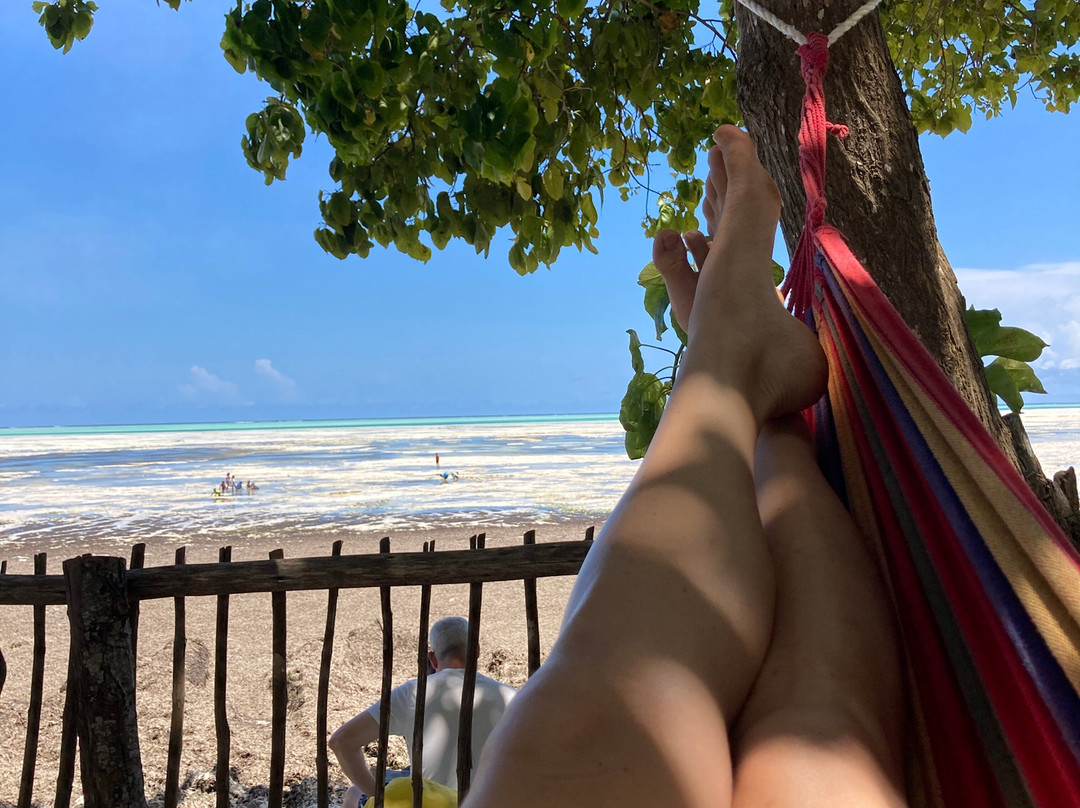 Mawimbi Kite School-江比阿尼必去景点