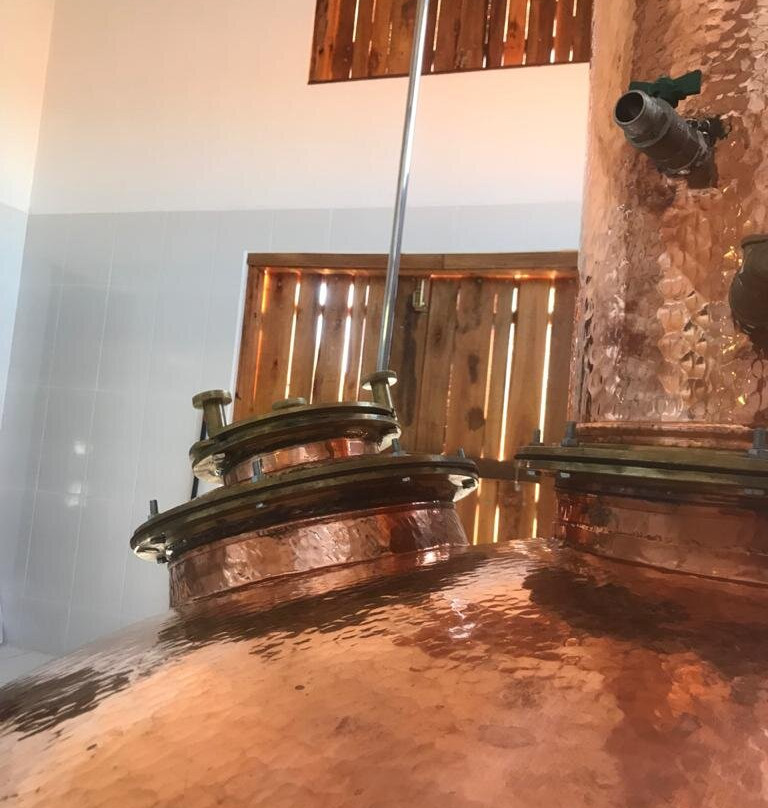 Cachaça Dona Diva-波苏阿雷格里必去景点