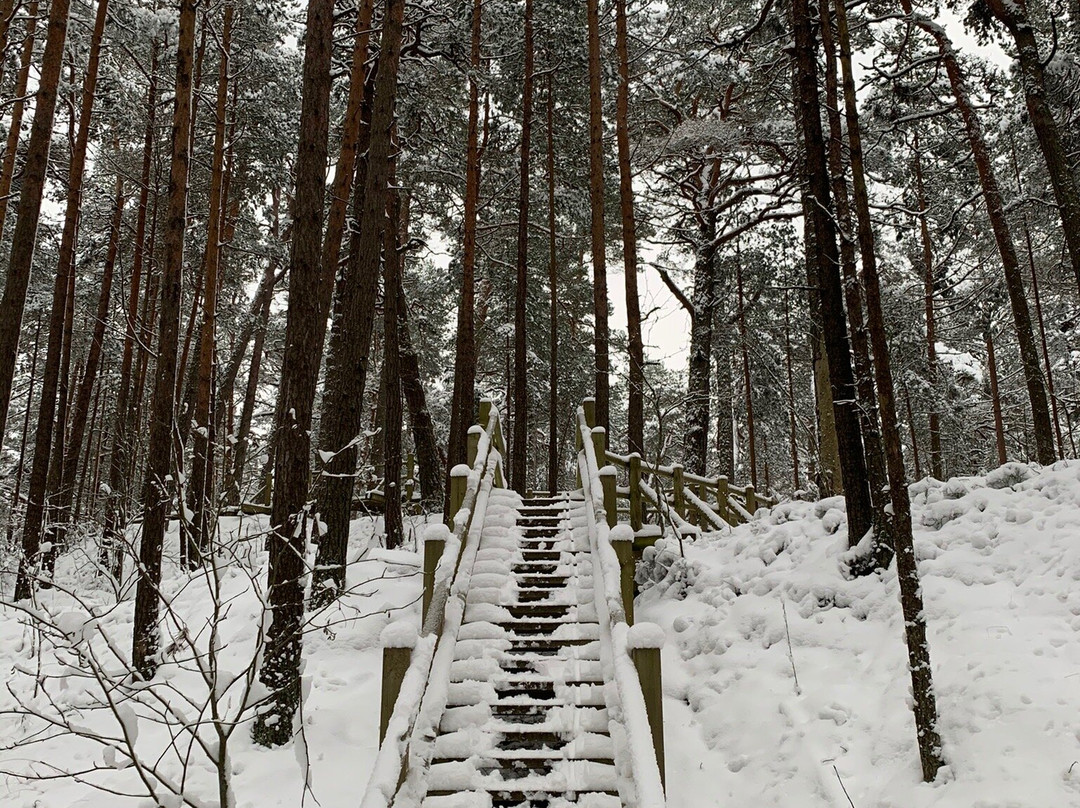 Ragakāpa Nature Park-尤尔马拉必去景点