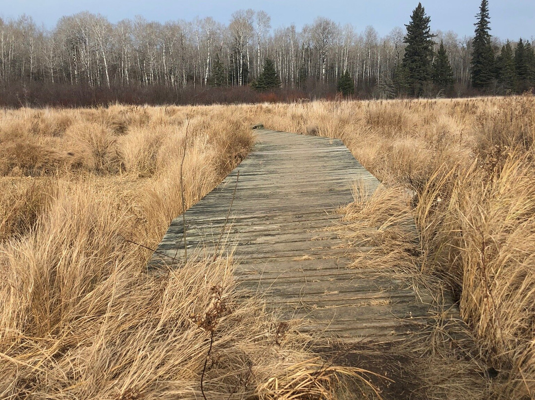 Bear Lake Hiking Trail景点图片