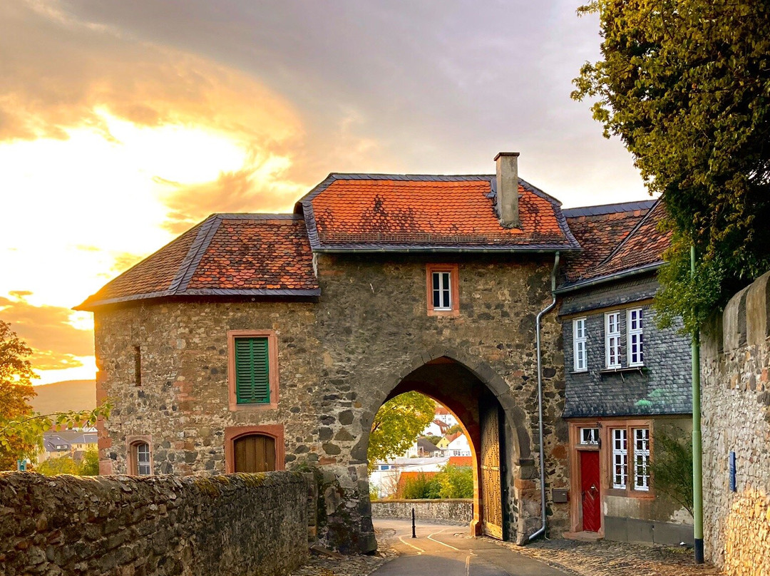 Friedberg Castle景点图片