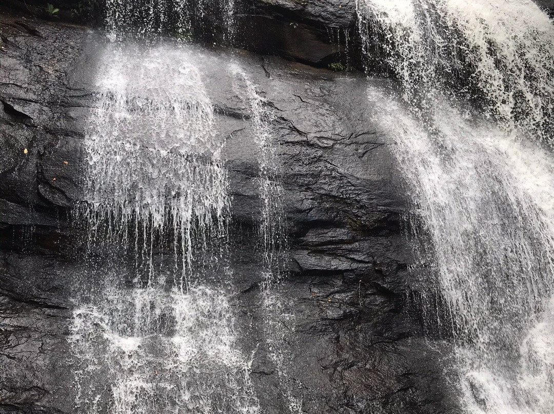 Cachoeira do Tiririca景点图片