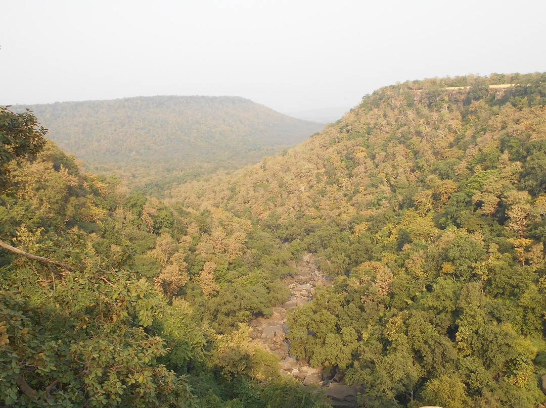 Panna Tiger Reserve景点图片