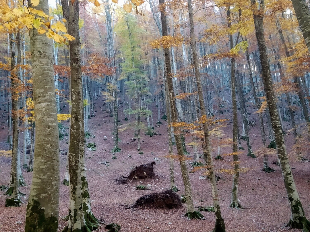 Area Pic Nic Prato di Campoli-Veroli必去景点