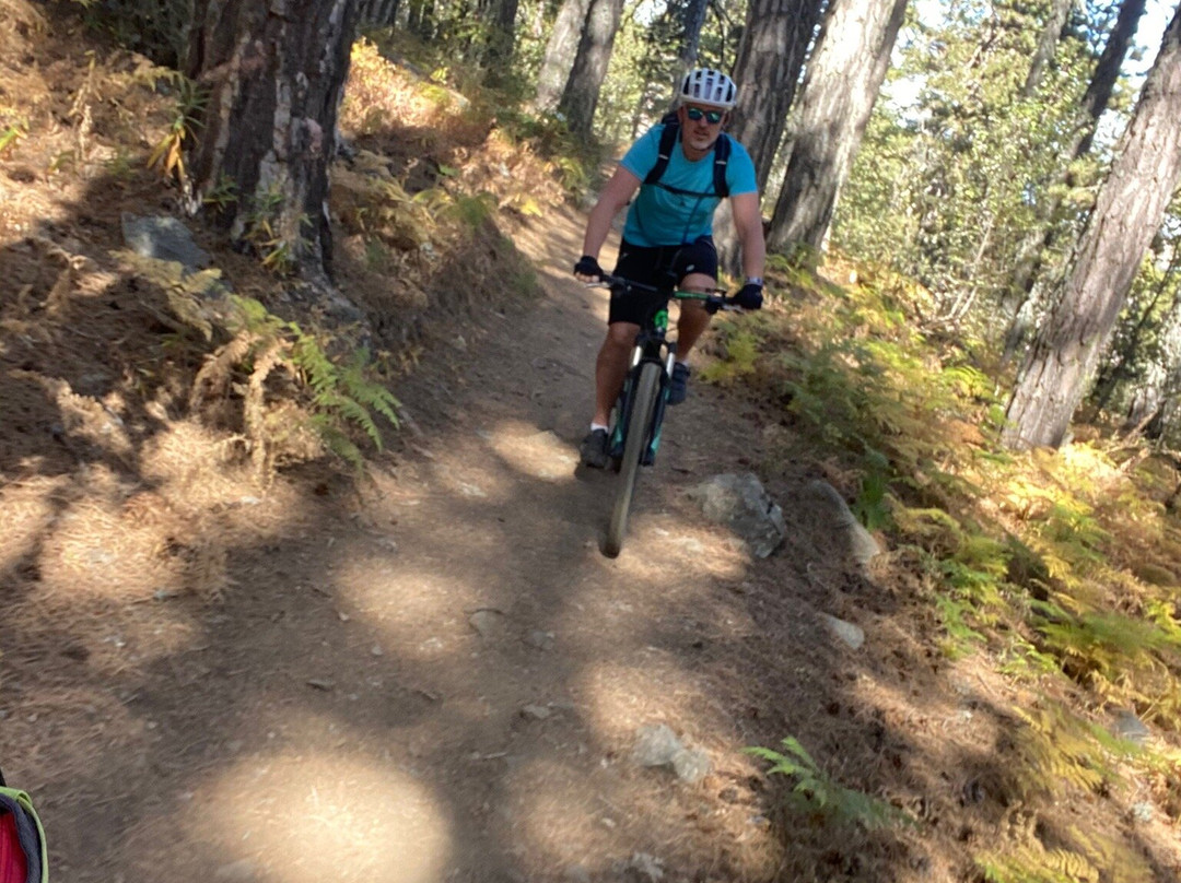 Activate Cyprus-Tochni必去景点